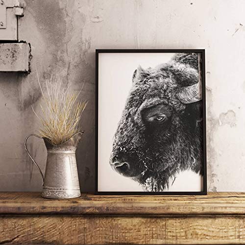 Animal moderno Buffalo impresión en lienzo y póster bison lienzo impresión mural hogar pared arte pintura decorativa50x70 cm sin marco