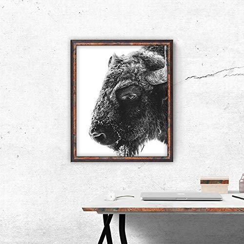 Animal moderno Buffalo impresión en lienzo y póster bison lienzo impresión mural hogar pared arte pintura decorativa50x70 cm sin marco