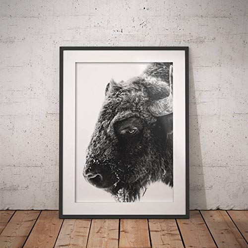 Animal moderno Buffalo impresión en lienzo y póster bison lienzo impresión mural hogar pared arte pintura decorativa50x70 cm sin marco