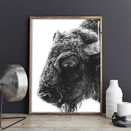 Animal moderno Buffalo impresión en lienzo y póster bison lienzo impresión mural hogar pared arte pintura decorativa50x70 cm sin marco