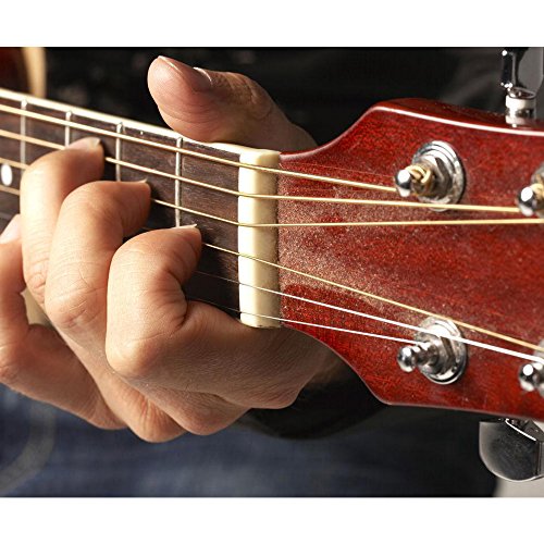 Anpro Hueso Puente para Guitarra Clásica de 6 Cuerdas Hecho de Hueso Real