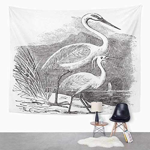 AOCCK Tapices Wall Hanging Engraving of Great Egret Ardea Alba and Little Garzetta Old 60"x 80" Home Decor Art Tapestries for Bedroom Living Room Dorm Apartment