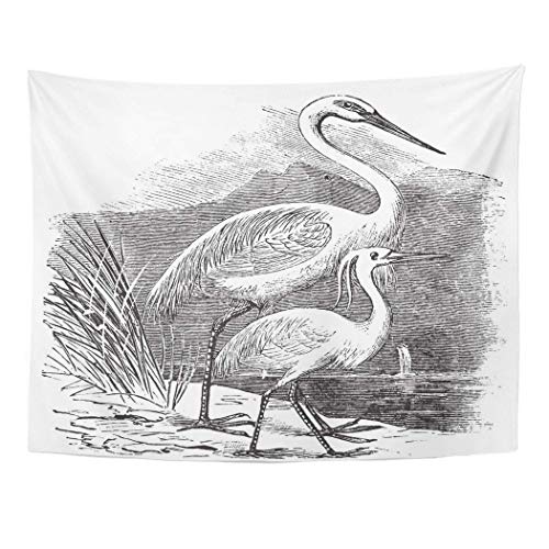 AOCCK Tapices Wall Hanging Engraving of Great Egret Ardea Alba and Little Garzetta Old 60"x 80" Home Decor Art Tapestries for Bedroom Living Room Dorm Apartment