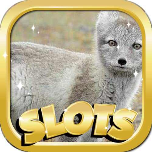 Arctic Nascar Real Online Slots - Best New Free Slots