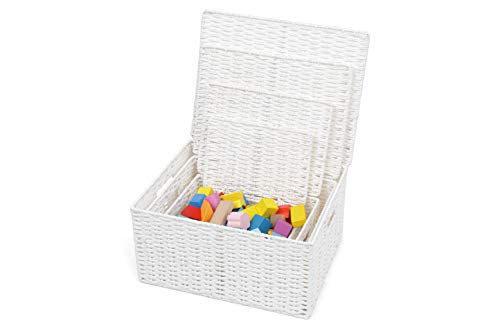 ARPAN Cesta de Almacenamiento con Tapa y Asas de inserción para un fácil Transporte – práctica Caja organizadora para múltiples usos, Blanco, X-Large, Large, Medium, Small