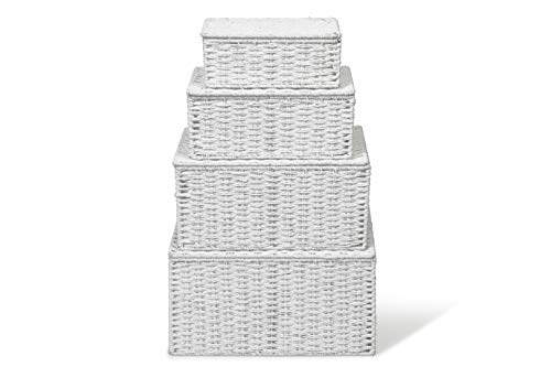 ARPAN Cesta de Almacenamiento con Tapa y Asas de inserción para un fácil Transporte – práctica Caja organizadora para múltiples usos, Blanco, X-Large, Large, Medium, Small