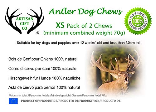 ARTISAN GIFT CO Asta de Ciervo para Cachorros y Perros Mini – 100% Natural - Tamaño XS. Pack 2 Unidades (Peso Total +70gr)