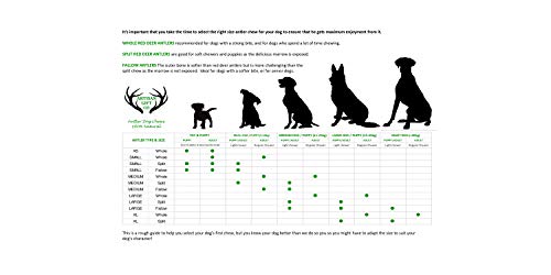 ARTISAN GIFT CO Mordedor Ecológico para Perros de Asta de Ciervo 100% Natural – 2 unds. / Tamaño L/Peso 300 gr.+