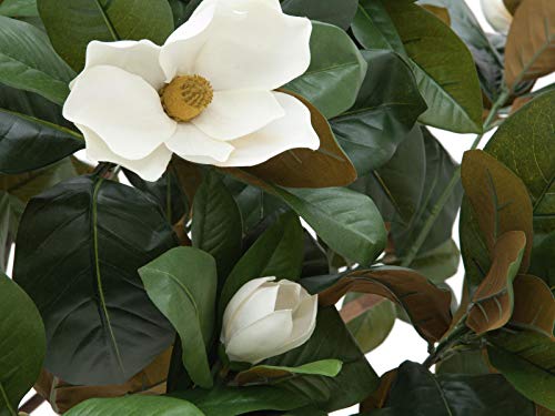 artplants.de Set 'Árbol Magnolia Artificial + Spray de protección UV' - Magnolio sintético CETTINA, Tronco Real, con Flores, Blanco, 150cm