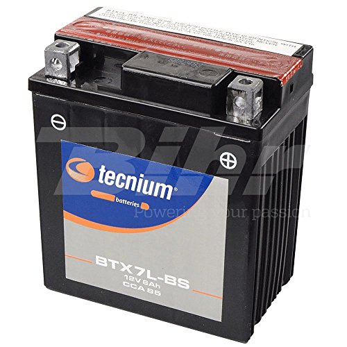 battery Platinum ytx7l de BS