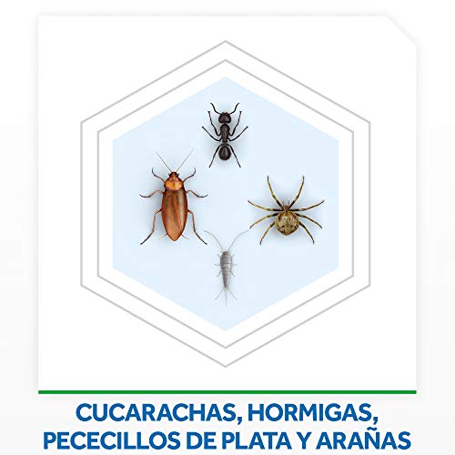 Baygon® - Insecticida contra cucarachas y hormigas, formula plus, acción rápida y efecto duradero, 600ml - Pack de 3 uds