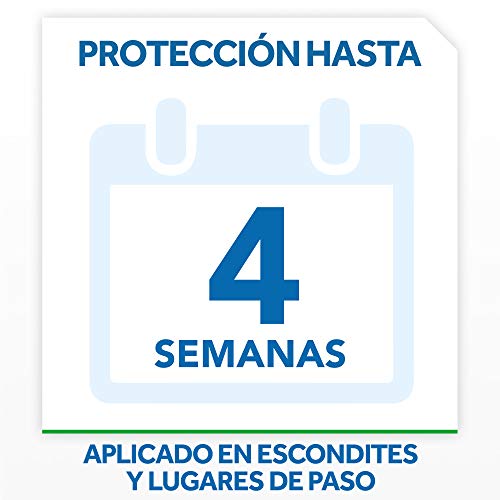 Baygon® - Insecticida contra cucarachas y hormigas, formula plus, acción rápida y efecto duradero, 600ml - Pack de 3 uds