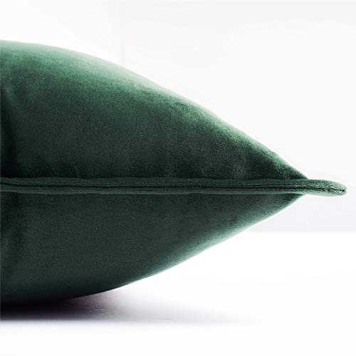 Bedsure Funda Cojin 45 x 45 Verde Oscuro - Juego de 2 Fundas Cojines Decorativas de Terciopelo, Muy Suave, Funda de Almohada Cuadrada para Sofá, Dormitorio y Sala de Estar, con Cremallera