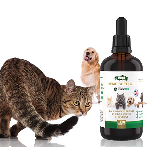 Bermond Life - Aceite de cáñamo para perros, gatos y mascotas, 100 ml, soporte calmante para la ansiedad del perro, estrés, cadera, dolor de articulaciones y artritis, fabricado en el Reino Unido