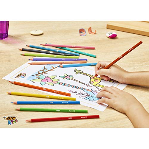 BIC Kids Tropicolors Lápices de Colores (2,9mm) - Colores Surtidos, Caja de 24 Unidades