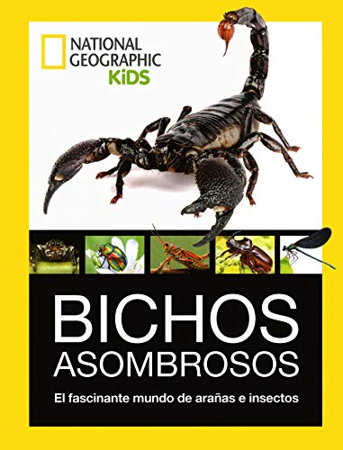 Bichos Asombrosos. El fascinante mundo de arañas e insectos. (NG KIDS)