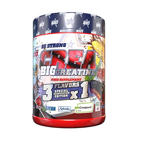 Big Creabig Creatina Degustation Pack 500G 600 g