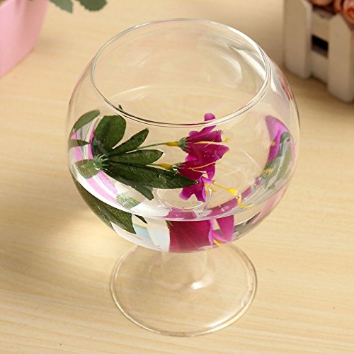 BigFamily Clear Cup Shape Hydroponic Contenedor DIY Home Table Wedding Garden Decoration Glass Hanging Vase Bottle Plant Pot Flower DIY