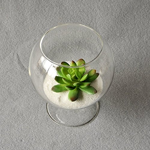 BigFamily Clear Cup Shape Hydroponic Contenedor DIY Home Table Wedding Garden Decoration Glass Hanging Vase Bottle Plant Pot Flower DIY