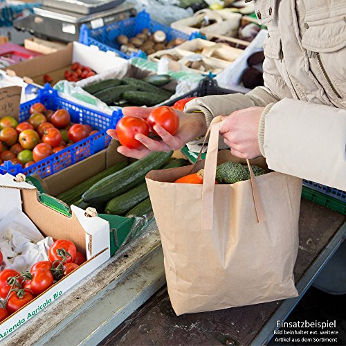 BIOZOYG Bolsas Grandes de Papel respetuosas del Medio Ambiente I Bolsas de Regalo Bolsas de Papel biodegradables, compostables I 250 x Bolsas de Papel marrón 18 x 8 x 22 cm