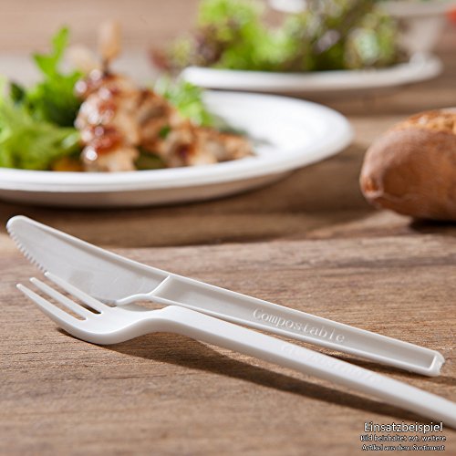 BIOZOYG Cubiertos plástico orgánico Reutilizables Estable Set de Cubiertos Tenedor, Cuchillo y Servilleta I compostables CPLA Cubiertos Biodegradable I 250x Tenedor y Cuchillo plástico con servilleta