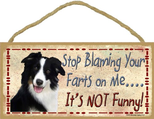 Blackwater Trading Border Collie Dejar de culpar a su Farts en mí no es Gracioso Perro Placa Decorativa 5 "x10