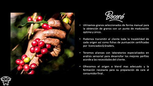 Boconó Specialty Coffee Colombia Huila Finca San Manuel 1 Kg café de especialidad en grano tostado 100% arabica caturra espresso o filtro tueste artesano bio
