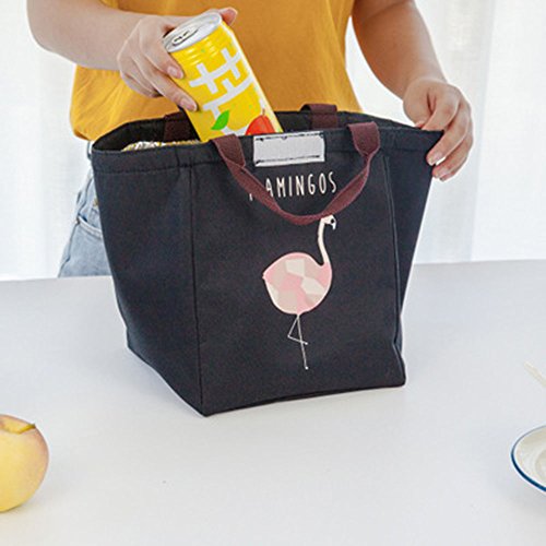 Bolsa de Almuerzo,Oxford Tela Bolsa Térmica Alimentos,Bolsa de Refrigerador Reutilizable a Prueba de Agua,Caja de Almuerzo con Aislamiento para Trabajo y la Escuela,Camping y Picnic (Negro)