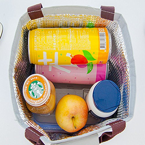 Bolsa de Almuerzo,Oxford Tela Bolsa Térmica Alimentos,Bolsa de Refrigerador Reutilizable a Prueba de Agua,Caja de Almuerzo con Aislamiento para Trabajo y la Escuela,Camping y Picnic (Negro)