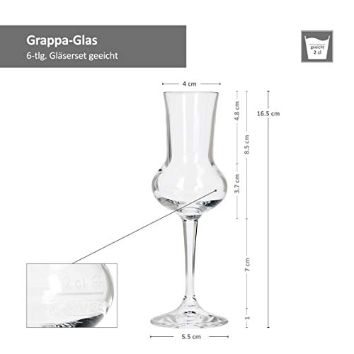 Bormioli Grappa Cristal Set 6 Piezas | cantidad de Relleno 75 ml, Altura Total de Vidrio 16,5 cm | Longitud del Mango 5,8 cm | klassiches Grappa Cristal para el Famoso Italiano Bebida