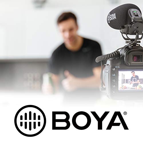 Boya BY-WFM12 - Micrófono inalámbrico Profesional para cámara réflex Digital (inalámbrico, 12 Canales, transmisor VHF, Sistema de recepción y transmisor VHF)