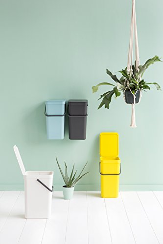 Brabantia Sort & Go Cubo de Basura, 16 L, Plástico, Menta, 27,9 x 22,0 x 40,1 cm