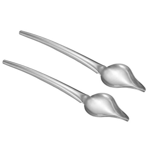 Cabilock 2 Cucharas de Dibujo Culinario Cucharas de Lápiz de Acero Diy Cucharas de Llovizna Más Saucier con Herramientas de Decoración de Pasteles con Pico Cónico (Grande)