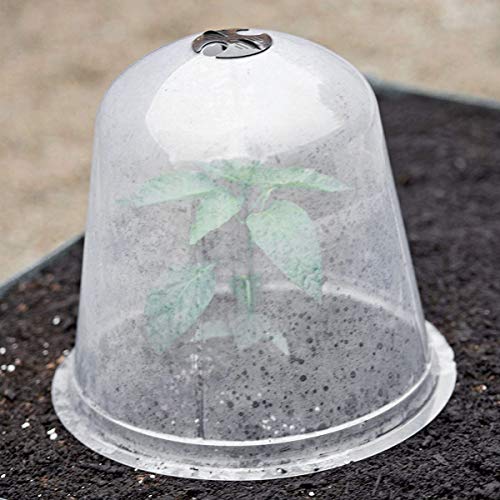 Cabilock Pequeño Plástico Reutilizable Mini Invernadero Invernadero Cloche Cúpula Planta Cubre Protección contra Heladas Protección contra Congelación para Plantas Al Aire Libre