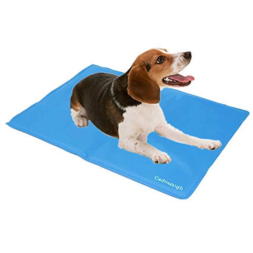 Cadosoigh Alfombra de Refrigeración Animales Nevera y Manta para Perro Fresco Cojín Azul Nevera Techo Camas de Suelo Couch Zwinger Auto(65 * 50 CM)