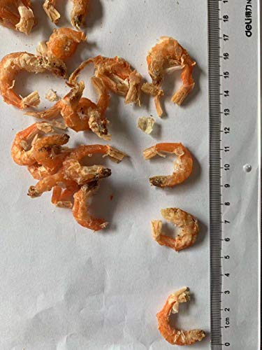Camarones secos cocidos, camarones secos, camarones naturales para cocinar,Dried cooked shrimp, dried shrimp, natural shrimp for cooking (1 bag (8.82oz))