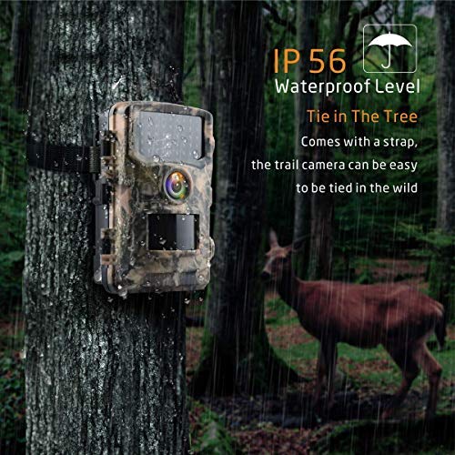 Campark Wildlife Cámara de Caza HD IP66 Trail Cámara 120 ° Gran Angular con Activación por Sensor de Movimiento Visión Nocturna e Infrarrojos Indicada para Vigilancia en Interiores e Exteriores