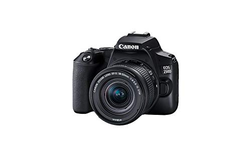 Canon EOS 250D - Cámara digital (24,1 MP, 6000 x 4000 Pixeles, CMOS, 4K Ultra HD, pantalla táctil) negro - kit con cuerpo y EF-S 18-55IS STM