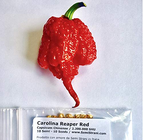 Carolina Reaper 10 Semillas Pura De El Chile Mas Picante En El Mundo 2.200.000 Shu Producciòn Italia 100%