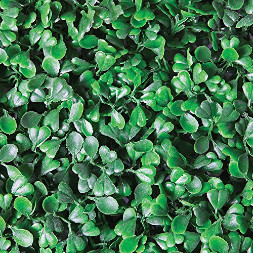 Catral 43040017 - Jardin Vertical, Boj, Verde, Pack 4 Losetas, Verde, 25x25x3 cm, Pack 4 Losetas