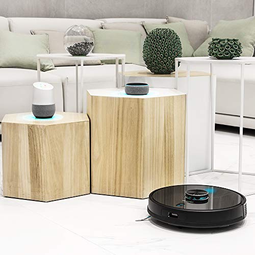 Cecotec Robot Aspirador Conga 5090. App con hasta 5 mapas. Aspira, Barre, Friega y Pasa la Mopa. Alexa y Google Assistant. Cepillo Jalisco. Cepillo para Mascotas. 8000 Pa. 10 Modos. Wi-Fi