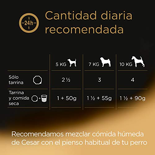 Cesar Multipack de Tarrinas de Comida Húmeda para Perros en Paté, selección de clásicos (Pack de 3 x 8 tarrinas x 150g)