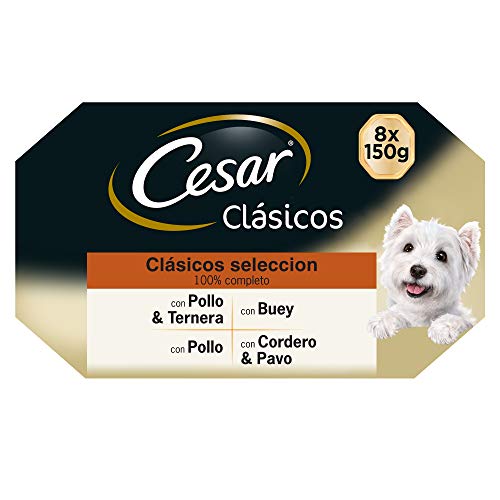 Cesar Multipack de Tarrinas de Comida Húmeda para Perros en Paté, selección de clásicos (Pack de 3 x 8 tarrinas x 150g)