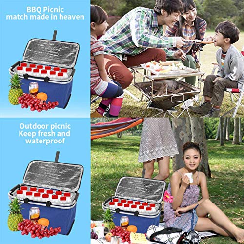 Cesta de picnic, bolsa de entrega de alimentos a domicilio, bolsas térmicas aisladas impermeables de gran tamaño para catering de 30L, para picnic, bebidas, catering, camping, playa y más,Camouflag