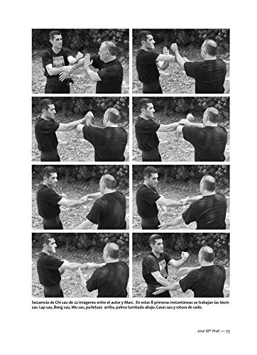 Chiy Tou Wing Chun Kuen (el completo sistema Wing Chun)