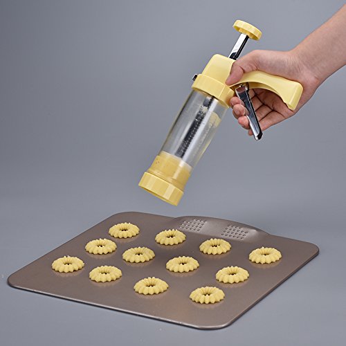 CHSEEO Prensa para Galletas Biscuits Pistola para Decoración de Tartas y Galletas Molde para Galletas Maquina de Pastas Glaseado Jeringa Bolígrafo con 13 Discos y 8 Boquillas #2