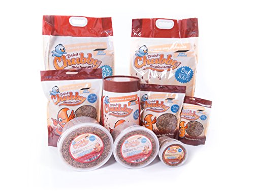 Chubby Mealworms Gusanos para comida gruesos y secos con entrega gratuita para pájaros salvajes, 1 litro