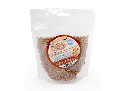 Chubby Mealworms Gusanos Secos para Comidas Gordy, 100 g