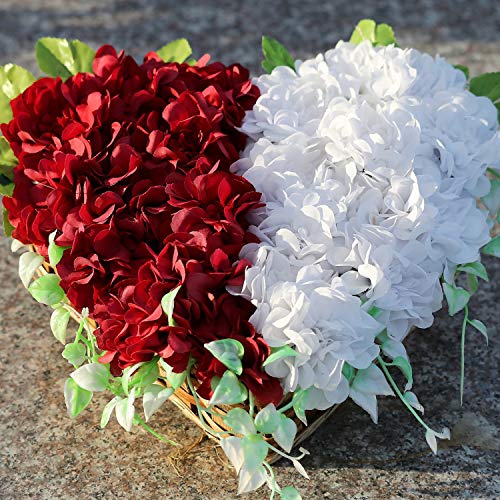 com-four® Composición enchufable 12x para arreglos Florales - Espuma enchufable de Espuma Floral - Esponja Artesanal para Bodas y cumpleaños (12 Piezas - Flores secas)