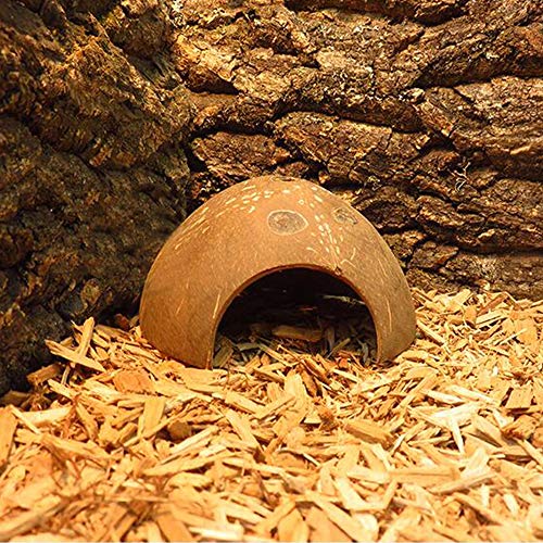 Cueva de Reptiles Cueva De Coco Natural Hiding Refugio de Reptiles Escondite Hábitat para Lagartos Ranas Serpientes Tortuga Gecko Camarón Araña y Otros Reptiles